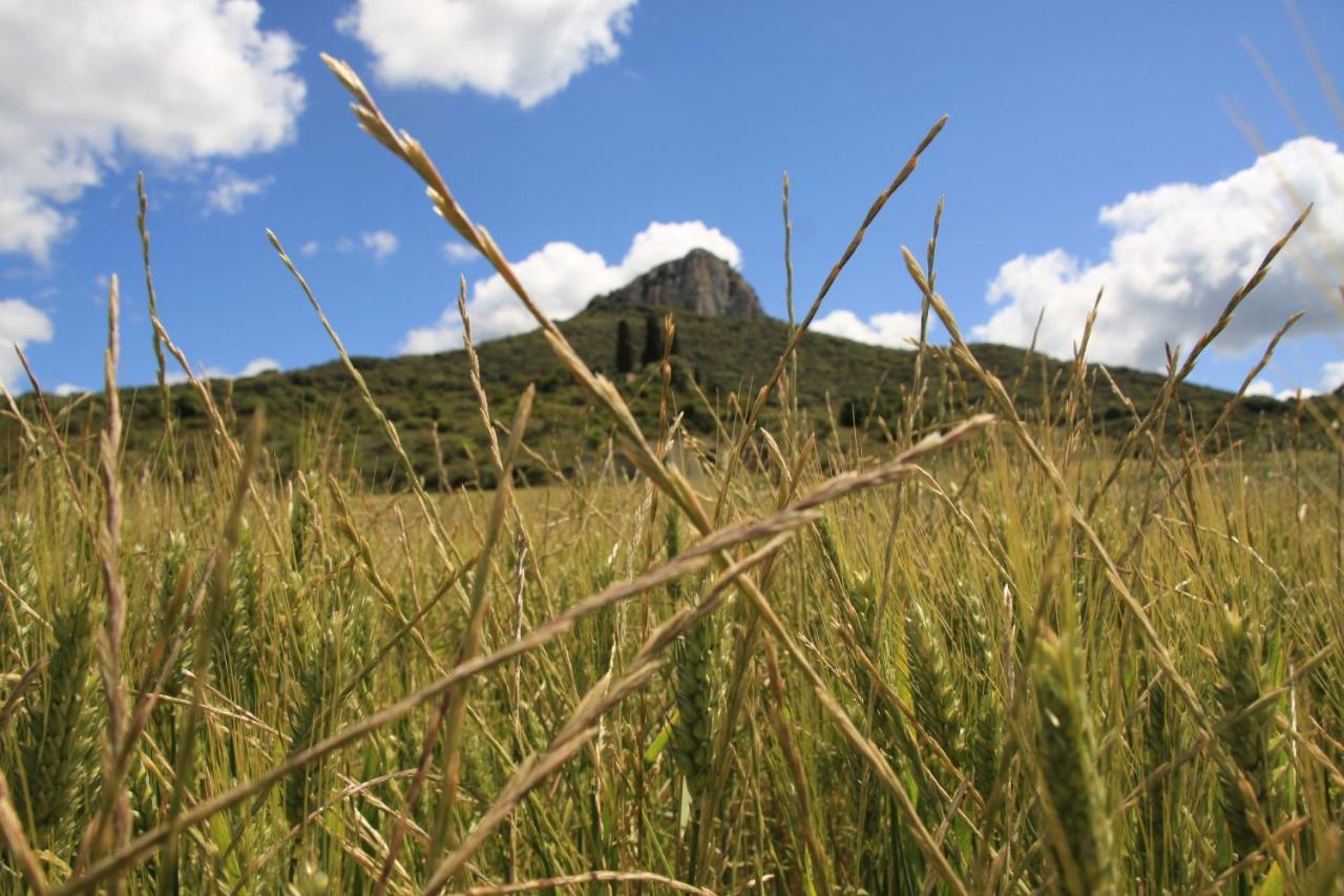 Casa Rural Ezkonberri Unzue Bagian luar foto